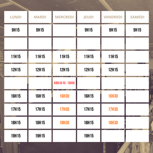 La BOX Aurillac | PLANNING WOD